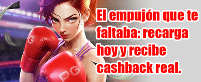 Recarga Diaria de Energía promotion